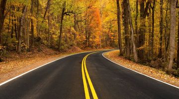 Retail Analytics, Meet Halloween--The Start of the Holiday Season