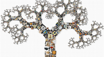 Why Are APIs Key to Business Intelligence? A Guide for Non-Developers