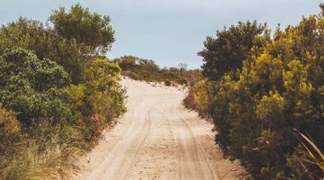 The Next Frontier: How Our New CMO Will Propel GoodData