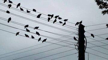 Unlocking the Value of Your Data Infrastructure With The Last Mile