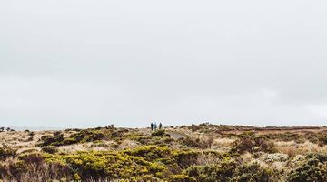 A Guide to the Cloud,     Multi-Tenancy, and The One Codebase to Rule Them All