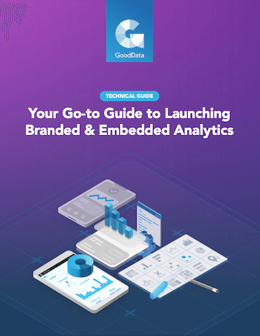 embedded analytics Business guide