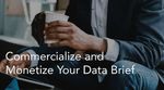 Commercialize and Monetize Your Data Brief