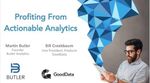 Profiting From Actionable Analytics
